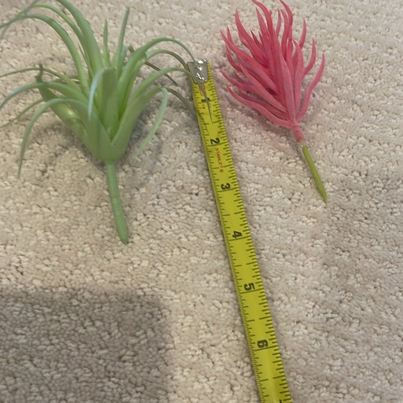 Faux succulents - Picture 6 of 6